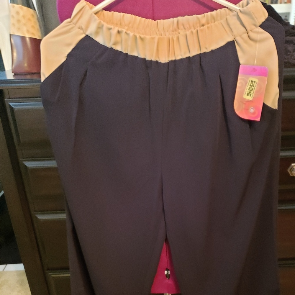Ladies pants